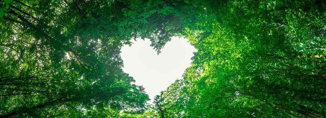 Associations et Fondations