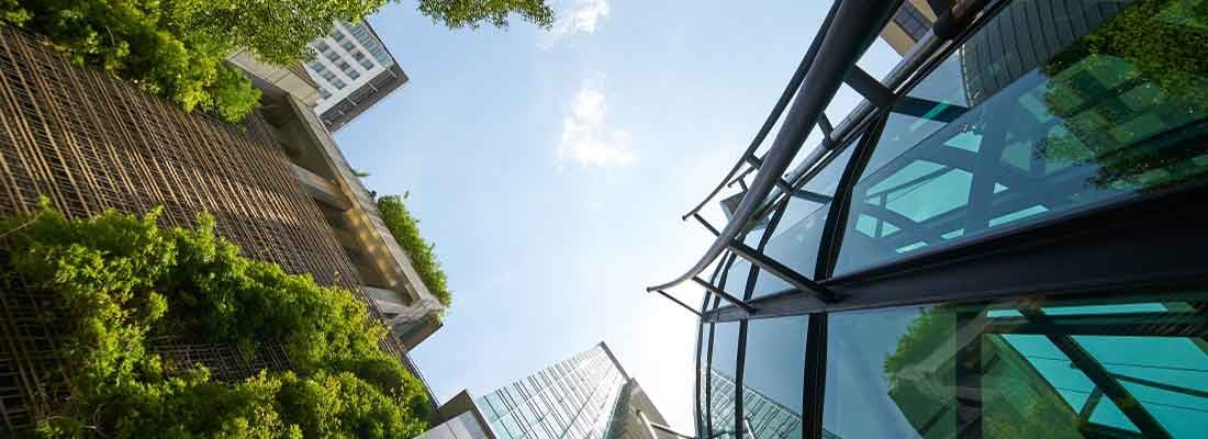 La Responsabilité Sociétale et Environnementale des entités publiques