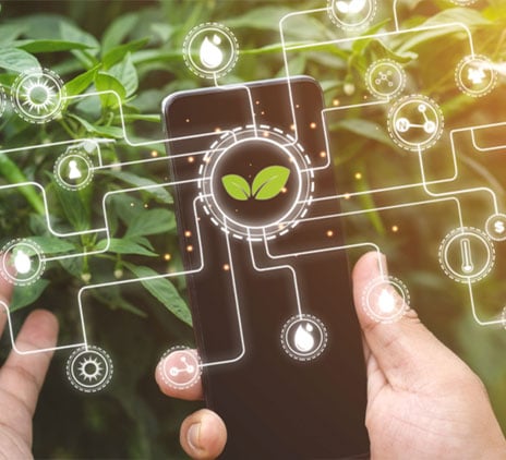 Tracer, optimiser, sécuriser : l’agroalimentaire, bon élève ?