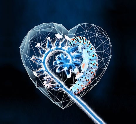 Objectif Croissance n°31 : prise de confiance