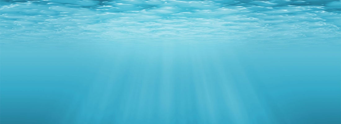 Quelle(s) profondeur(s) pour l’identification des risques ?