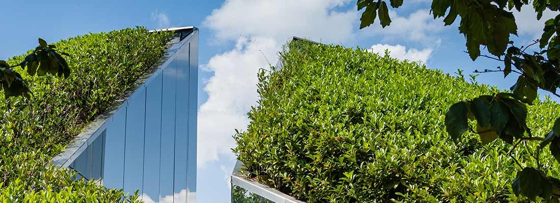 Banque et Asset Management