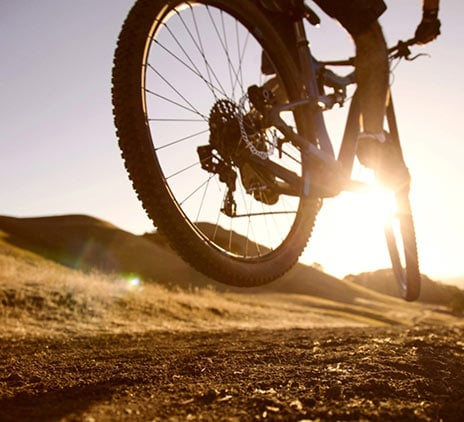 Les ETI sur le chemin de la durabilité