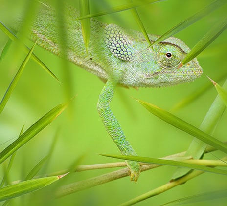 Leaders and Shakers n°16