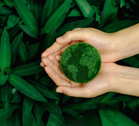 Rapport RSE 2023-2024