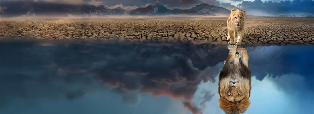 Lettre des Décideurs