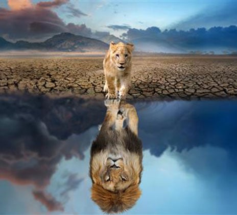 Lettre des Décideurs 