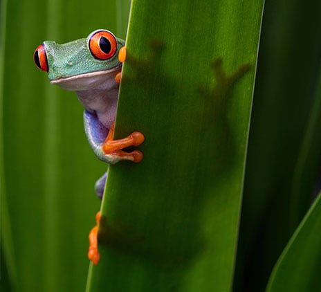 Leaders and Shakers n°17