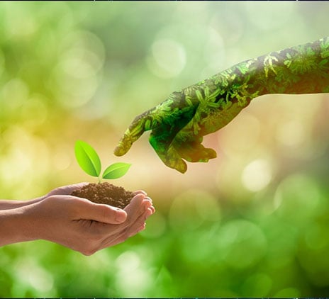 Rapport Transparence 2019