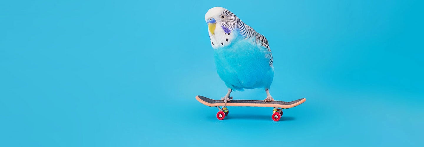 Culture de la confiance