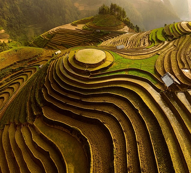 Financial Services Advisory