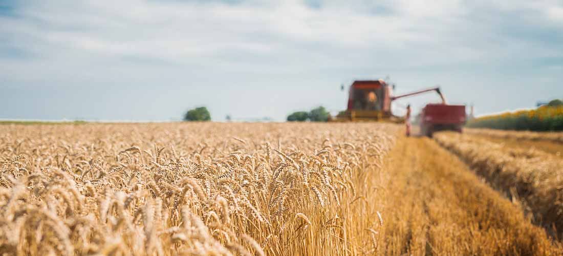 La responsabilité de l’industrie agroalimentaire dans le réchauffement climatique