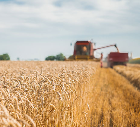 La responsabilité de l’industrie agroalimentaire dans le réchauffement climatique