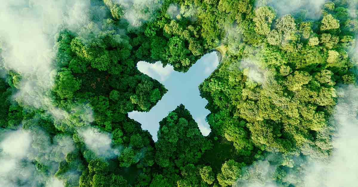 L’avion vert bientôt prêt au décollage ?