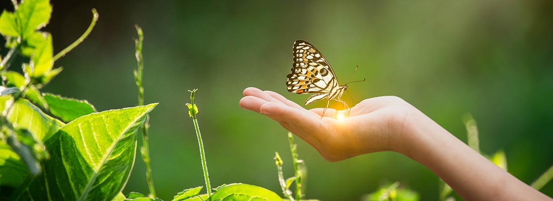 Prise en compte des enjeux climatiques dans les états financiers