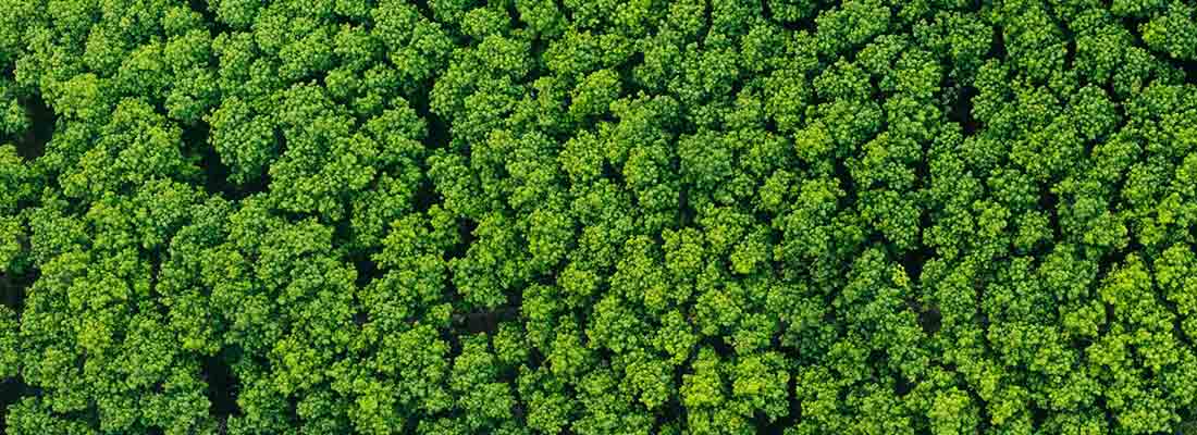 Investir en RSE : cela en vaut-il le coût ?