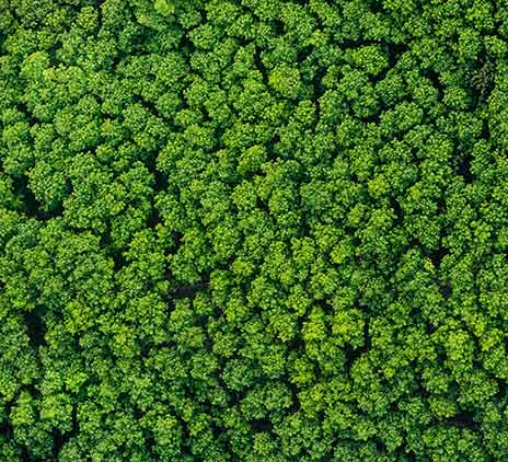 Investir en RSE : cela en vaut-il le coût ?