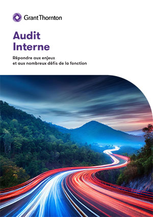Audit Interne