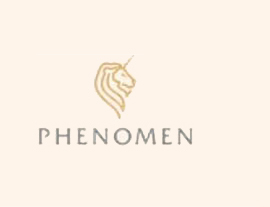 Phenomen - Transaction Services